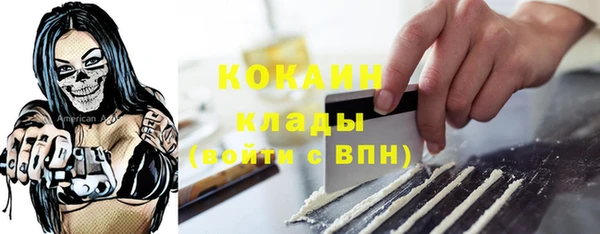 прущая мука Вяземский