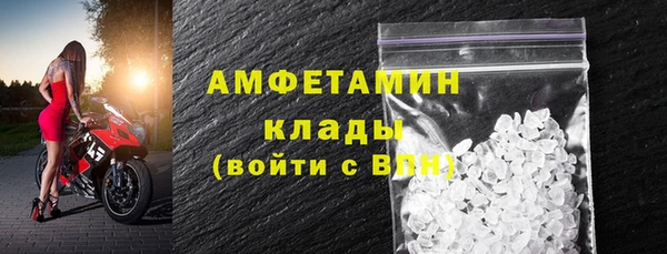 прущая мука Вяземский