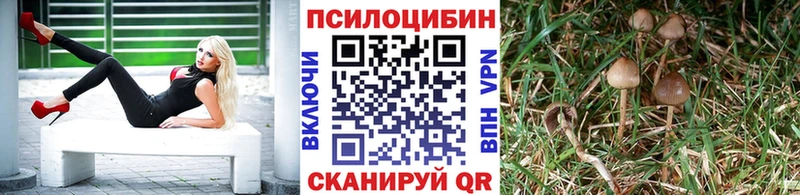 ссылка на мегу ONION  купить   Зарайск  Псилоцибиновые грибы мицелий 